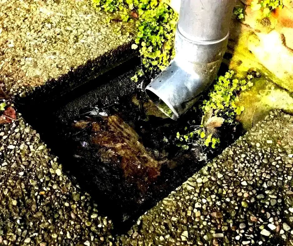 Detailed French Drain installation in Lexington, KY