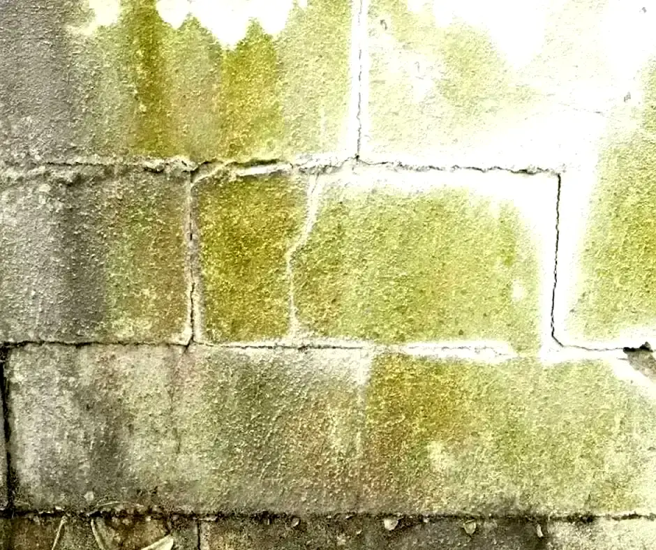 Extensive Basement Crack Repair in Lexington, KY