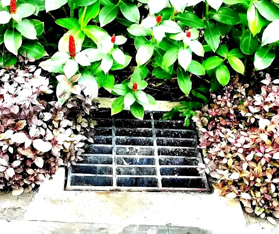 French Drain Installation for Landscape in Lexington, KY